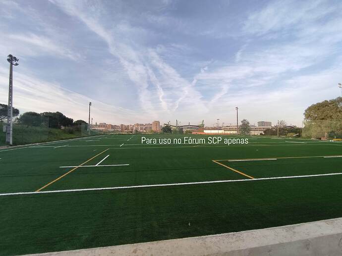 IMG_20240217_173221 (1)