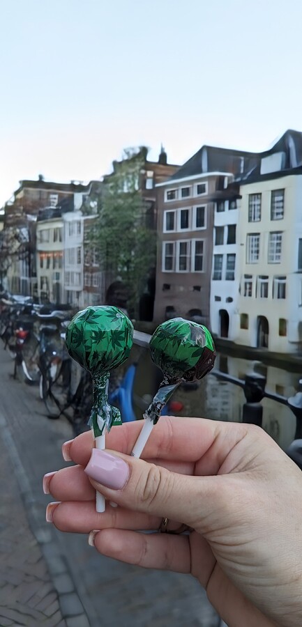 PXL_20240410_174135167.MP~2