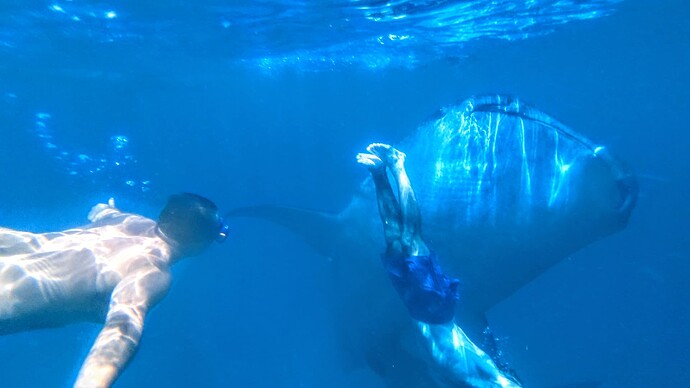 PXL_20240104_032628290_exported_6700~2