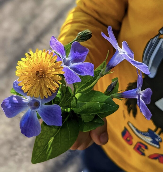 Screenshot_20211020-162230