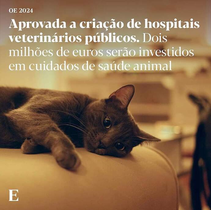 FB_IMG_1701596005855