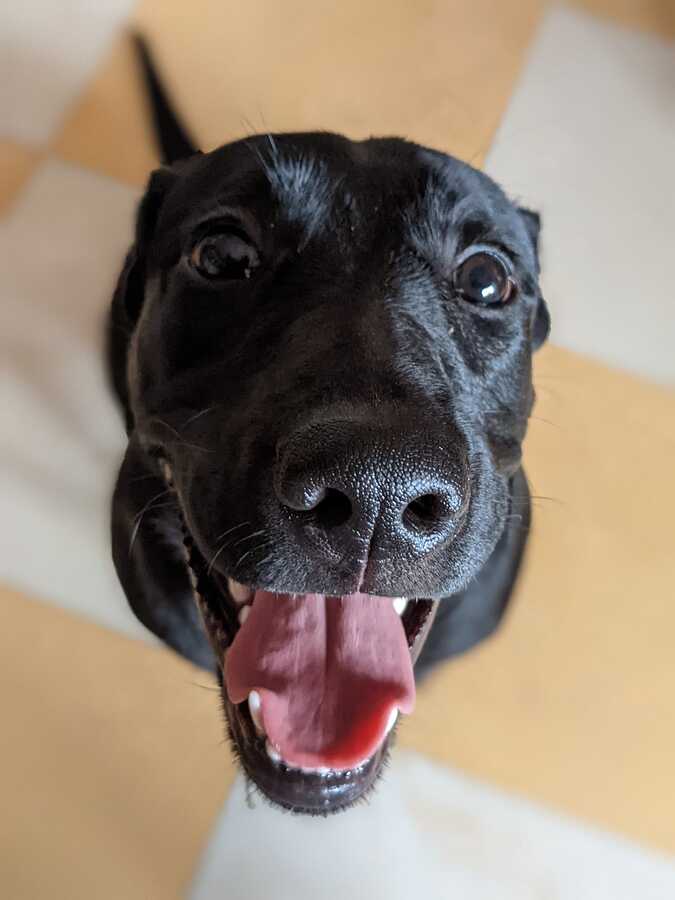 Imagem WhatsApp 2024-09-27 às 20.54.34_0def1d7a