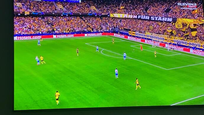 bf549510-e6a8-434f-8e5a-a89bd4c794a8