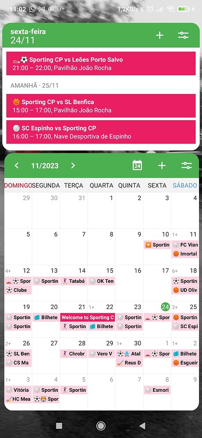 Screenshot_2023-11-24-11-02-10-057_ginlemon.flowerfree