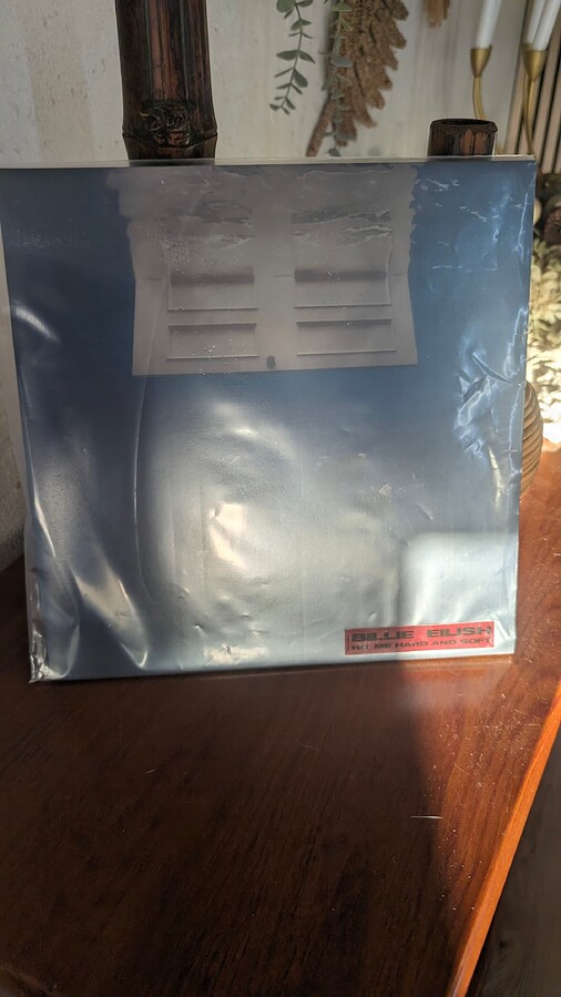 PXL_20240601_192408971.MP