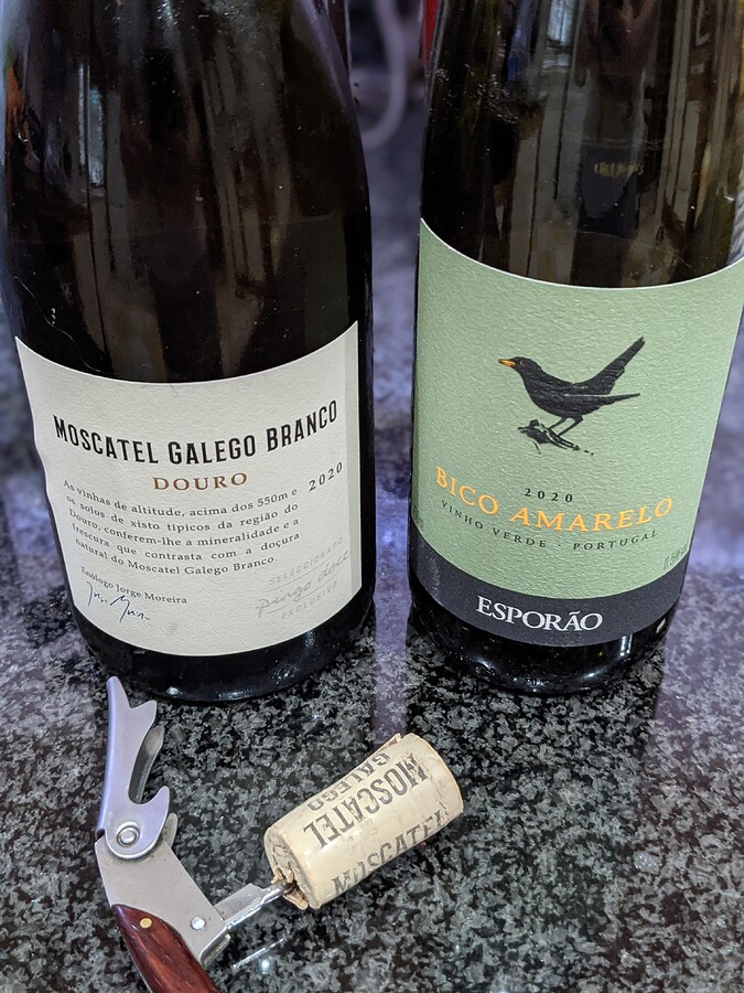 PXL_20210618_191322006.PORTRAIT