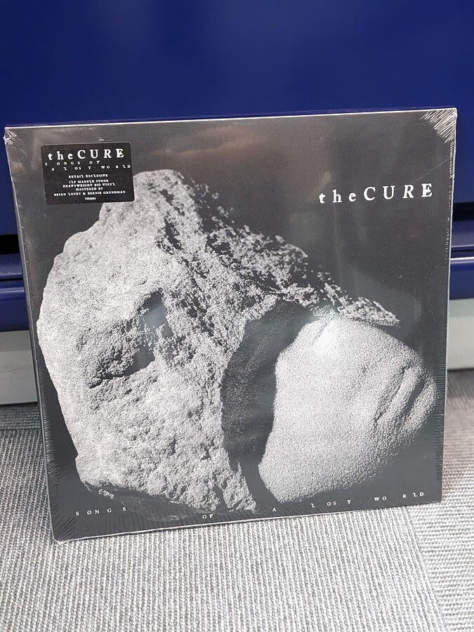 PXL_20241106_102408908.PORTRAIT