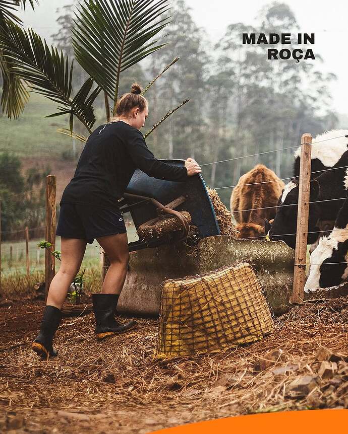 355412139_2430831600431326_3876890139302125437_n