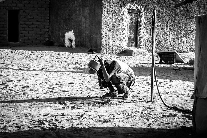 _MG_0323