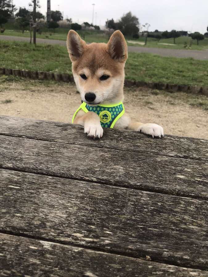 462556803_1318037699183835_6531257570092389259_n