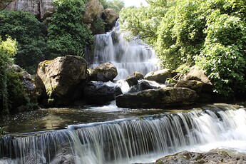 20200516115640_IMG_7107