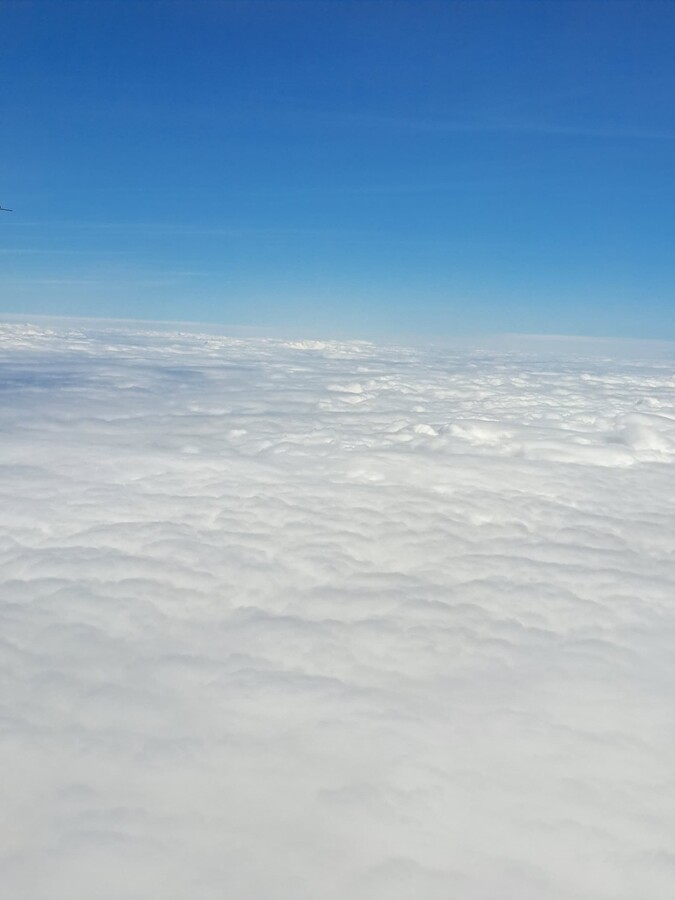 20230307_113218
