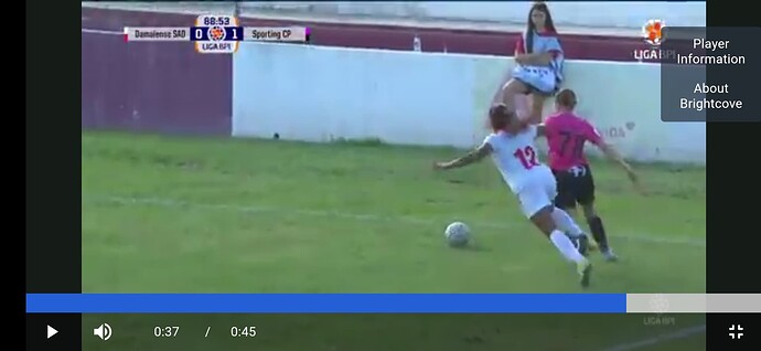Screenshot_20241013_210827_Chrome