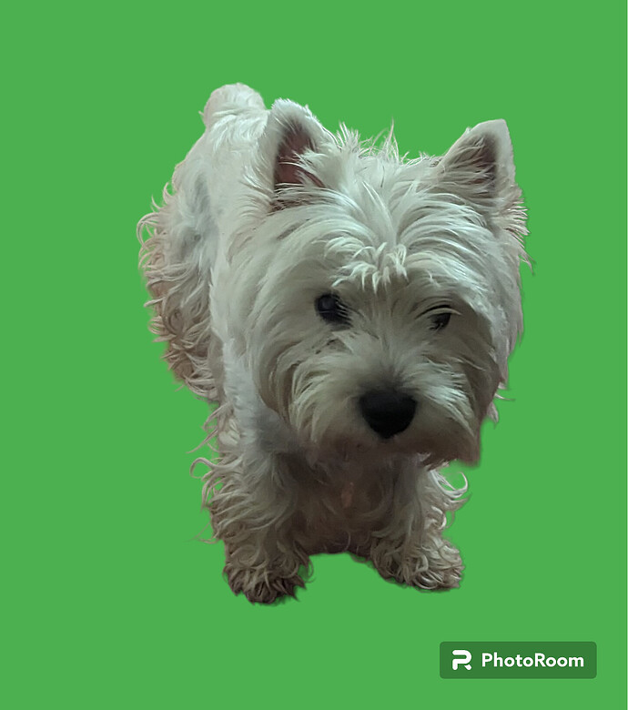 PhotoRoom-20231105_151345