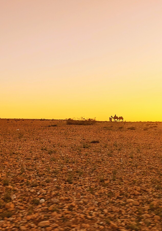 PXL_20240314_183947323~2