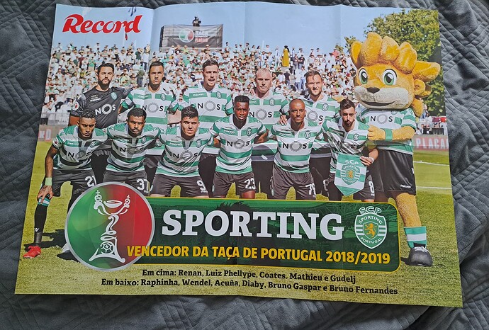 Poster Sporting Vencedor TP 18_19