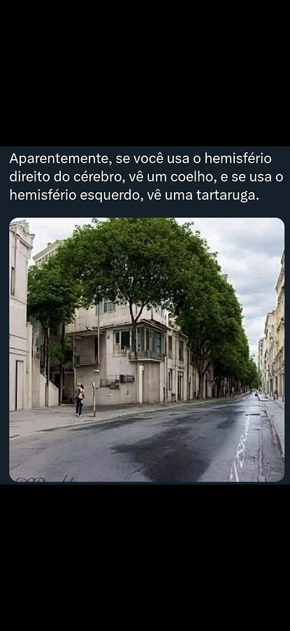 Screenshot_20260207_205147_WhatsApp