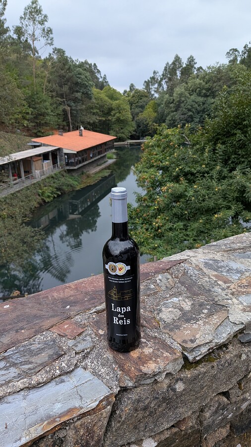 PXL_20251019_144903688.RAW-01.COVER