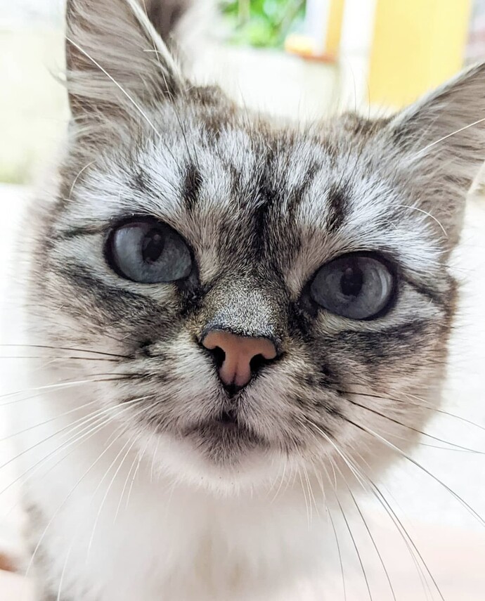 Screenshot_20211018-201625