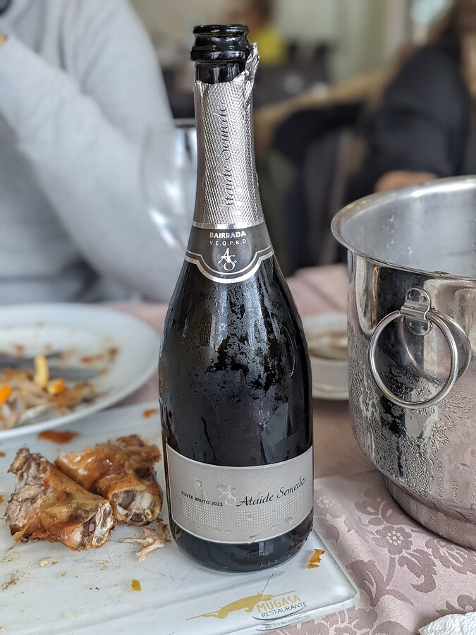 PXL_20240329_141314770.PORTRAIT