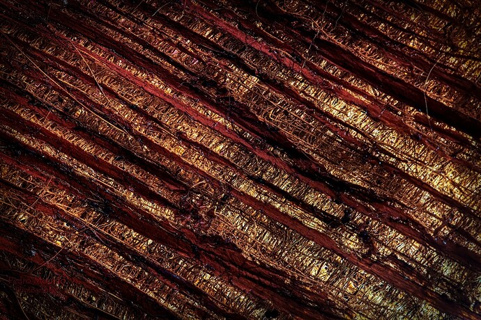 IMG_0990cmhdr(tensedrama)