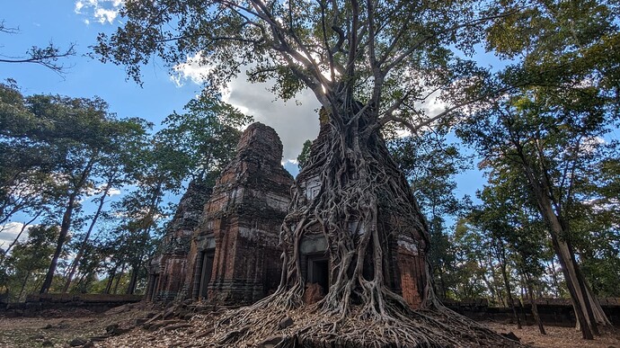 PXL_20231219_070339923