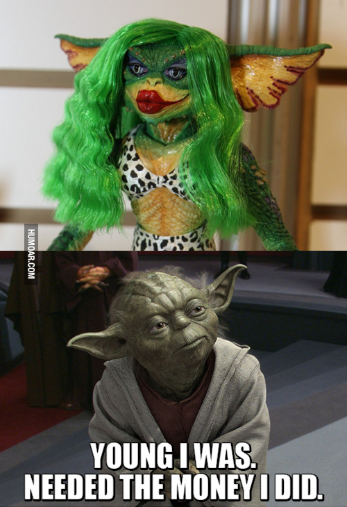 yoda-needed-money.jpg