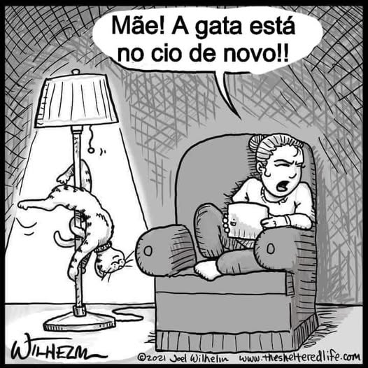 gata no cio