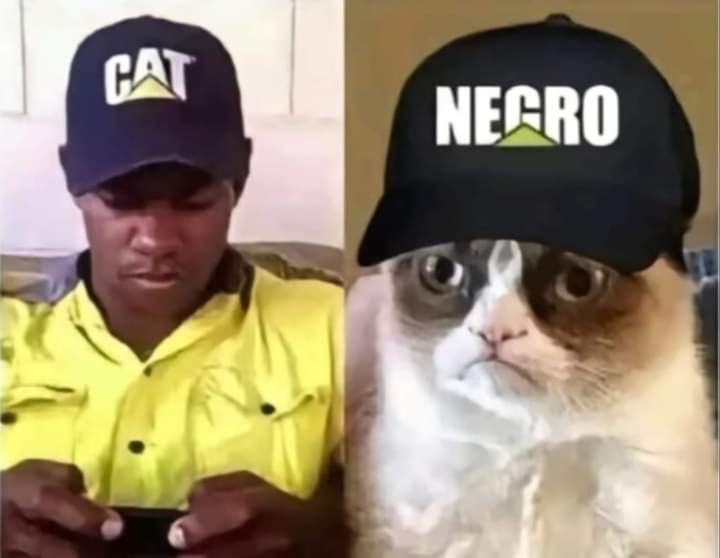 FB_IMG_1725028315296