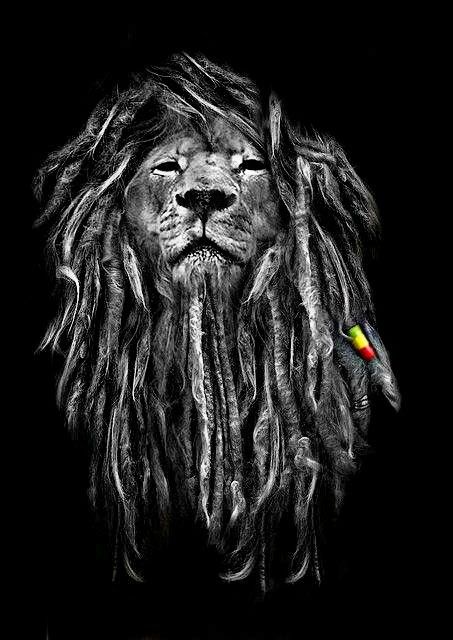 0ae9cc20ab0ebb9a966995676295c8ec